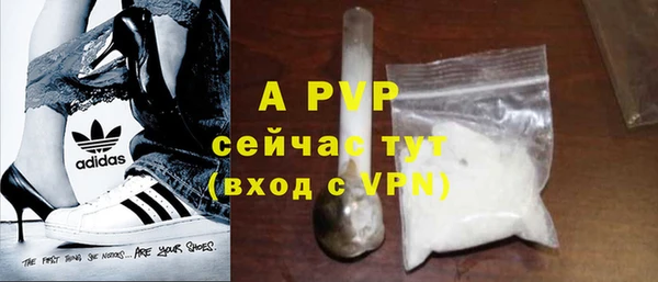 2c-b Горно-Алтайск