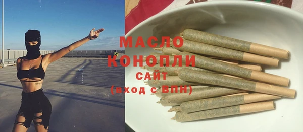 2c-b Горно-Алтайск