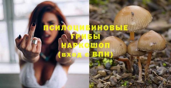 2c-b Горно-Алтайск