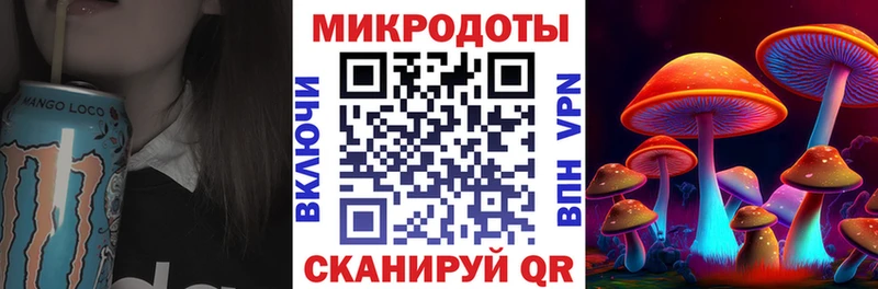 Псилоцибиновые грибы Psilocybe  Мценск 